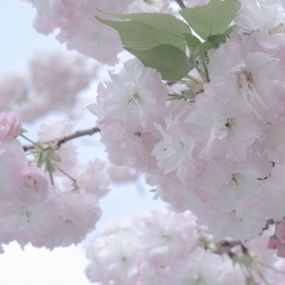 兽设质感表现实用教程兽圈群